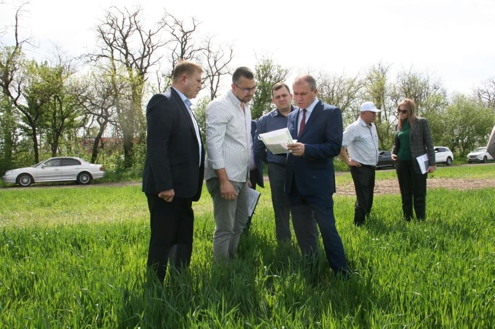 Ростовская область в 2024г увеличила поддержку селекции и семеноводства на 15,6%
