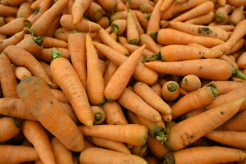 Морковь: польза для здоровья. Что произойдет с организмом, если регулярно есть морковь?