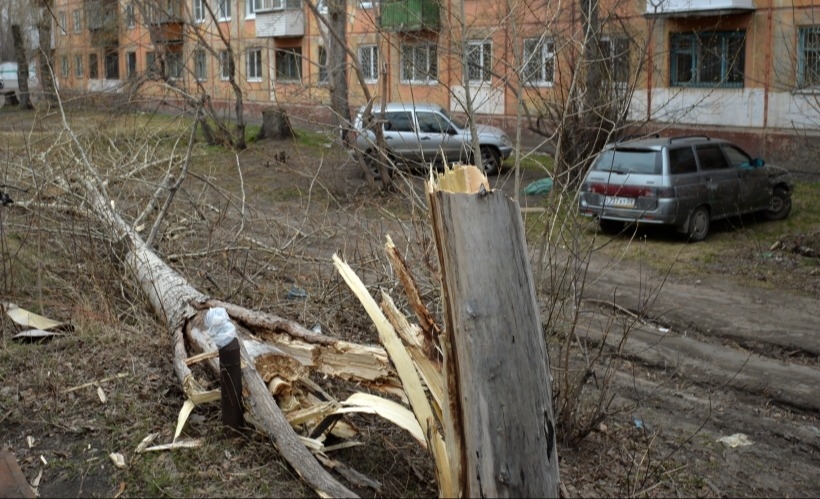 Десятки деревьев повалены из-за сильного ветра в Тульской области
