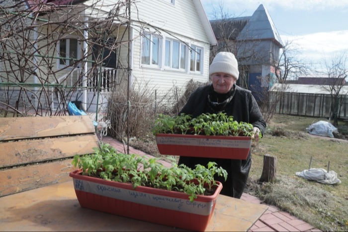 Вильфанд: в центральных районах европейской части РФ можно приступать к садово-огородным работам