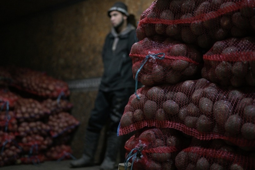 Россельхознадзор запретил ввоз партии зараженного картофеля из КНР в Приморье