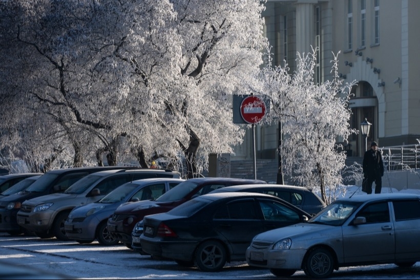 Московский дептранс рекомендовал не парковаться вблизи деревьев из-за сильного ветра