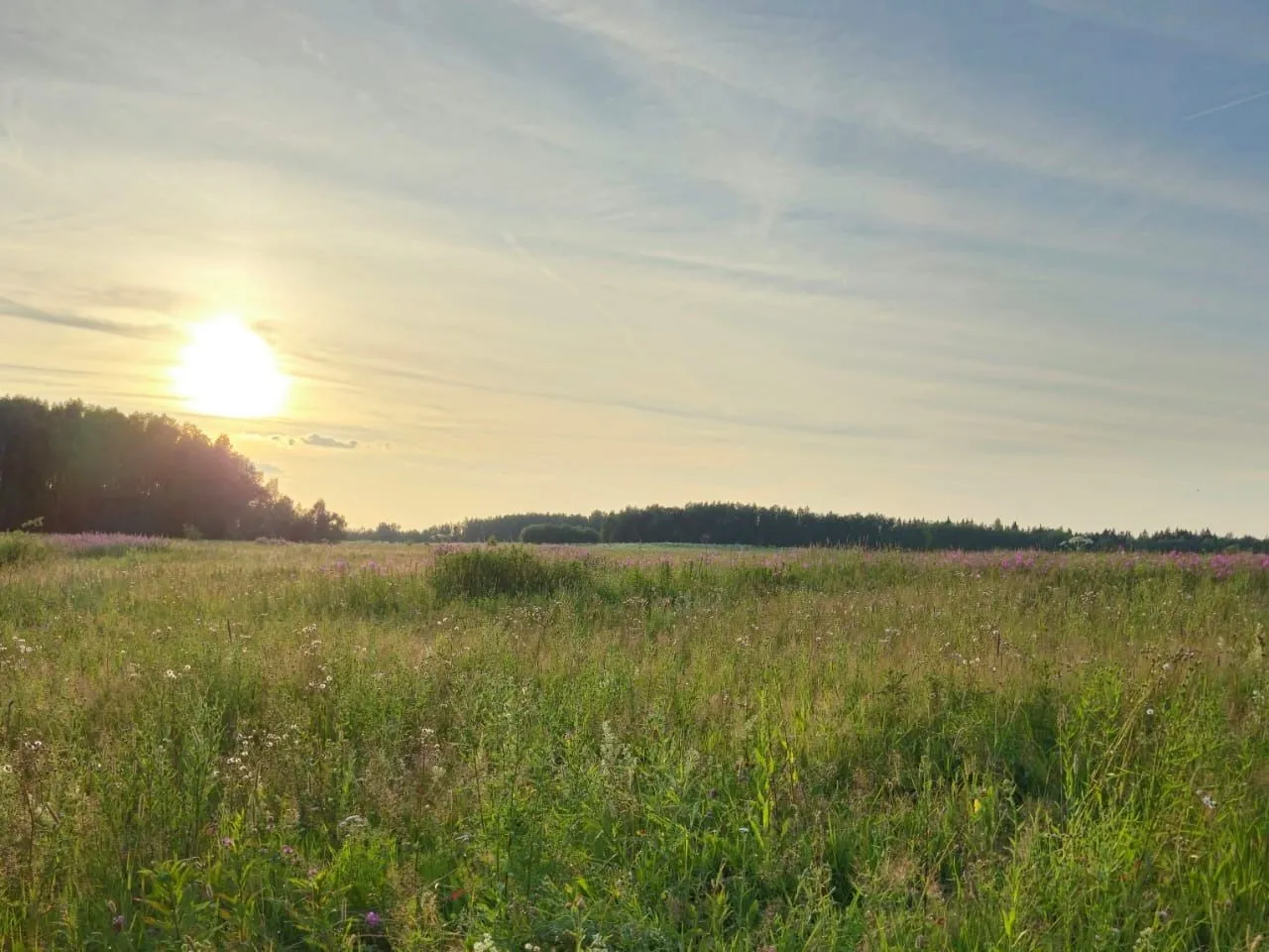 Дачи в Подмосковье: стоимость выросла по большинству направлений