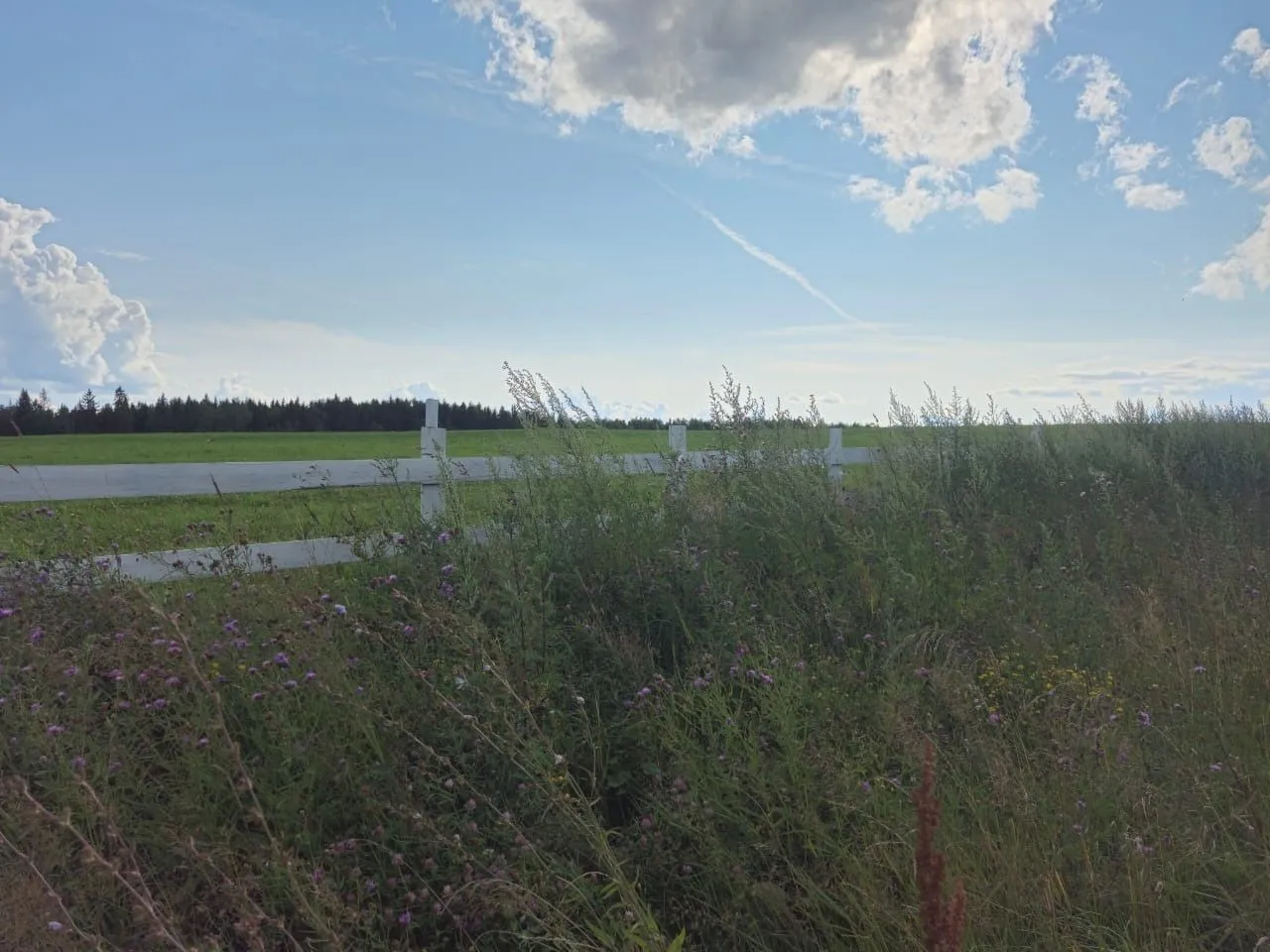 Россельхозбанк выдал 275 млрд "Сельской ипотеки" за время действия программы