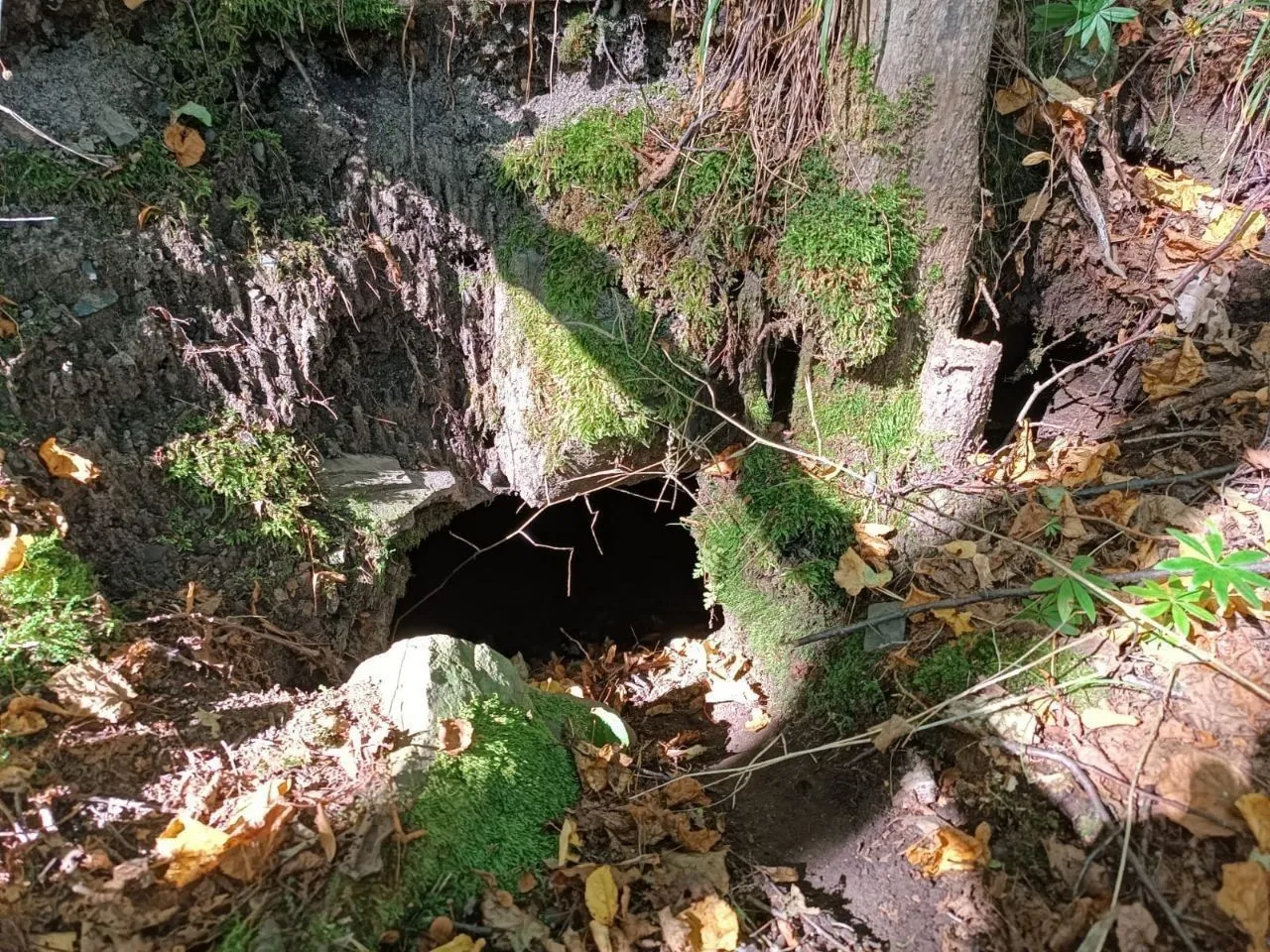 Ученые обнаружили неизвестные склепы в Ингушетии