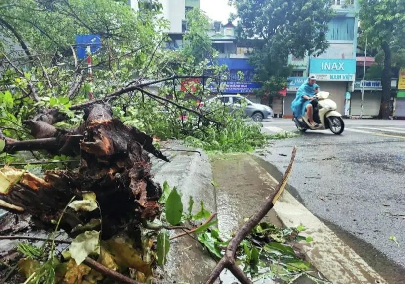 Порядка 200 организованных туристов из РФ не могут вылететь с острова Хайнань после тайфуна