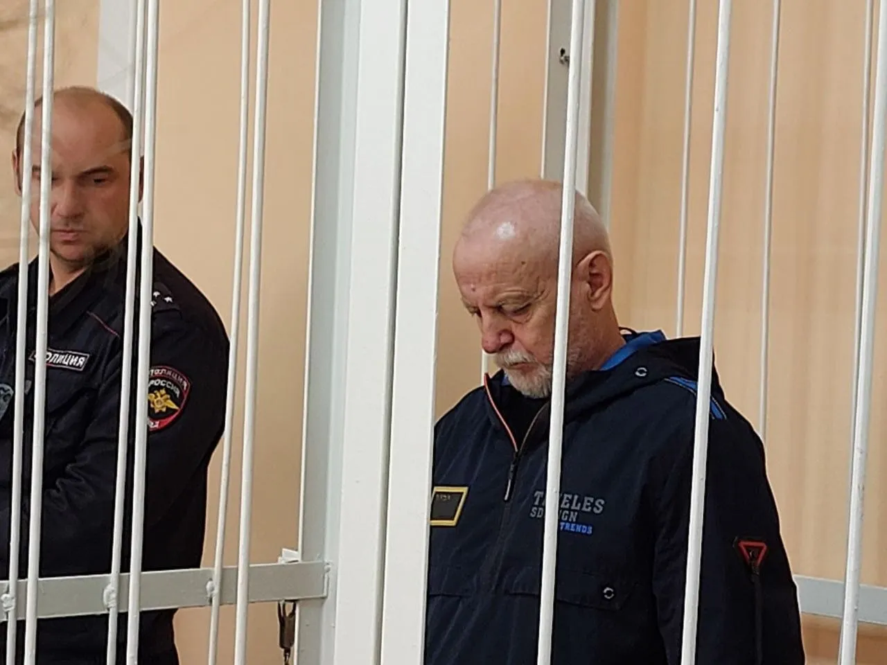 Фигурант дела о гибели группы пешеходов в Приамурье осужден на 14 лет колонии