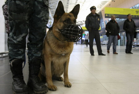 В аэропортах России усилены меры безопасности