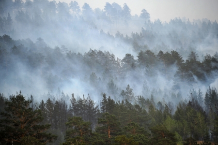 Дым от пожаров в Китае окутает пять районов Приамурья
