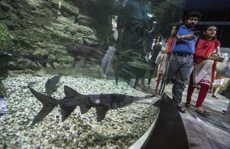 Дело о растрате 1 млрд рублей начнут рассматривать по существу на следующей неделе