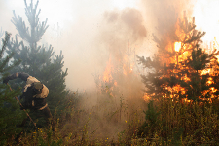 Из-за сухих гроз резко увеличилась площадь и количество лесных пожаров в Забайкалье