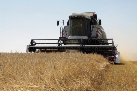 Ростовская область впервые собрала свыше 10,5 млн тонн ранних зерновых