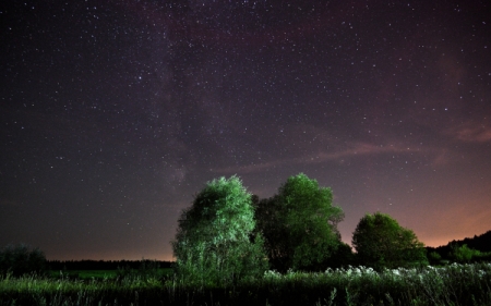 В Сибири в ночь на 13 августа увидят пик августовского звездопада