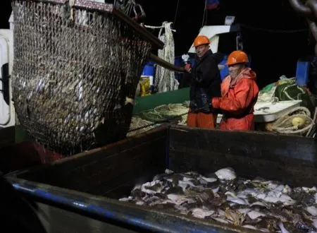 Квоты в помощь