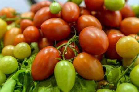 Турция предложила открыть в Крыму свои логистические центры для продажи продуктов по России