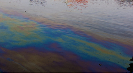 Устанавливается виновник загрязнения водоемов нефтепродуктами в Подмосковье