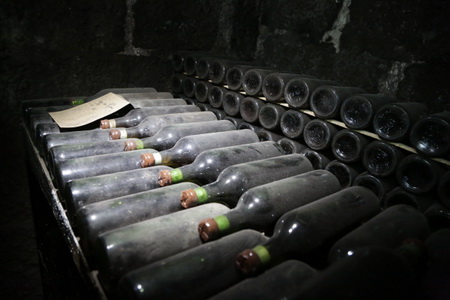 Еще одну зону для выпуска вин ЗНМП создали на Кубани