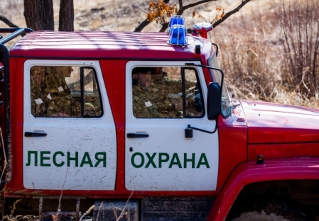 Первые лесные пожары зарегистрированы в Иркутской области