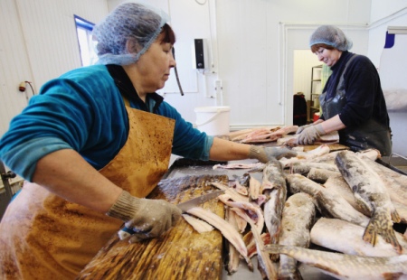 Россия может получить до $1 млрд за счет развития переработки рыбы на Дальнем Востоке