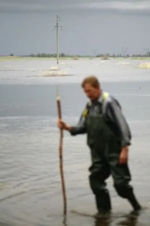 Ученые-ихтиологи в Белом море попробуют вывести более жизнестойкий вид горбуши