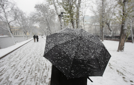 Мокрый снег продлится в Петербурге и Ленобласти до конца недели
