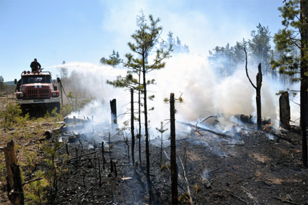 Основная площадь природных пожаров в России приходится на три дальневосточных региона