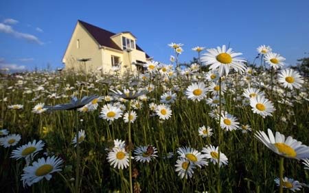 Деревня Веркола в Поморье признана одной из самых красивых в России