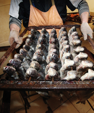 Рыболовно-гастрономический фестиваль "Шушпанская щука" впервые пройдет в Тамбовской области