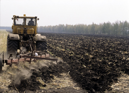 Дело о незаконном переводе 11 га леса в земли сельхозназначения возбуждено в Татарстане