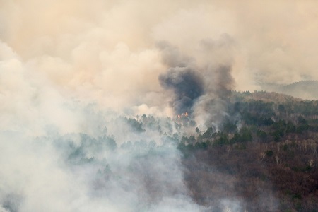 Чрезвычайную пожароопасность прогнозируют на Ставрополье