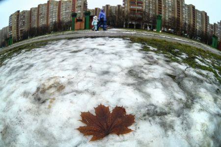 Метеорологи ожидают теплую и позднюю зиму в Москве