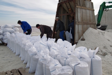 Производство соли стоимостью 3,2 млрд руб. создадут в Тульской области