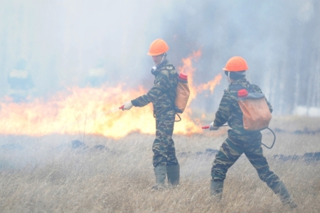Чрезвычайная пожароопасность ожидается в Ростовской области до конца рабочей недели