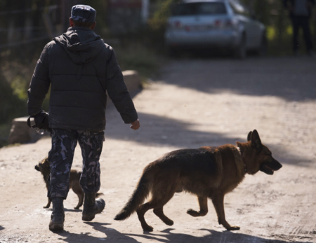 Триатлон и танцы с собаками увидят гости кинологического фестиваля в Свердловской области