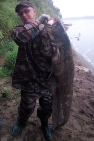 Кировский рыбак поймал сома длиной в человеческий рост