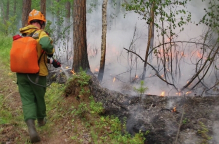 Установление зон контроля лесных пожаров переходит на федеральный уровень