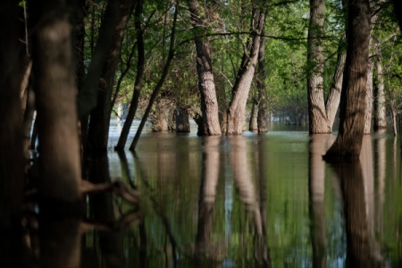 Ущерб от наводнений в Иркутской области предварительно оценили в 35 млрд рублей