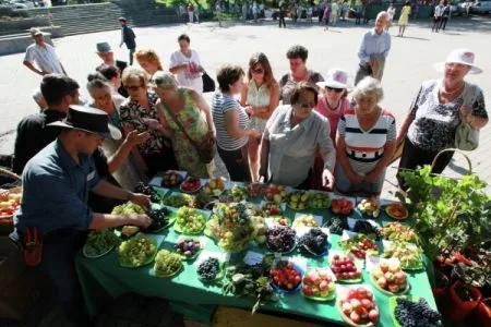 Всероссийский День садовода пройдет в тамбовском Мичуринске