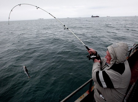 Мурманским рыбакам-любителям разрешат сдавать улов на переработку