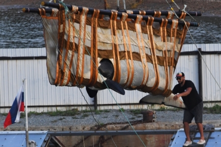 ВНИРО из-за паводка на Амуре собирается изменить схему доставки белух из "китовой тюрьмы" к месту выпуска