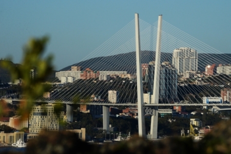 Инфраструктурные проекты во Владивостоке заинтересовали строительные компании Швейцарии