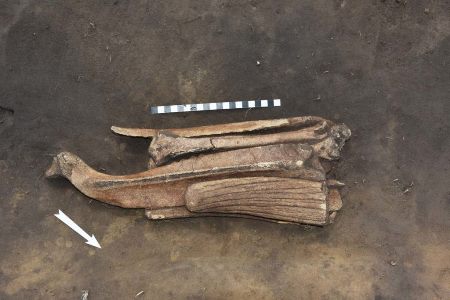 Костяную фигуру птицы эпохи неолита нашли археологи в Новосибирской области