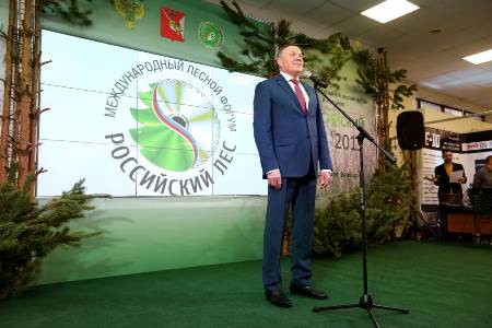 Делегации из девяти стран участвуют в выставке "Российский лес" в Вологде