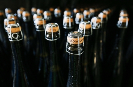 В Петербурге просят не запрещать называть вином напитки из импортного сырья