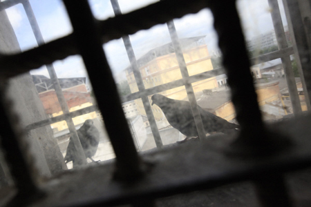 Омбудсмен: около 30% жалоб из тюрем Курской области обоснованы