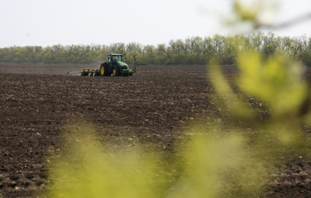 "Мираторг" нарастит посевы многолетних трав в Калининградской области на 18%