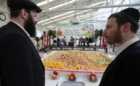 В Кунсткамере отметят еврейский праздник Ту би-Шват