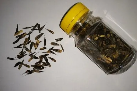 Природное противовирусное