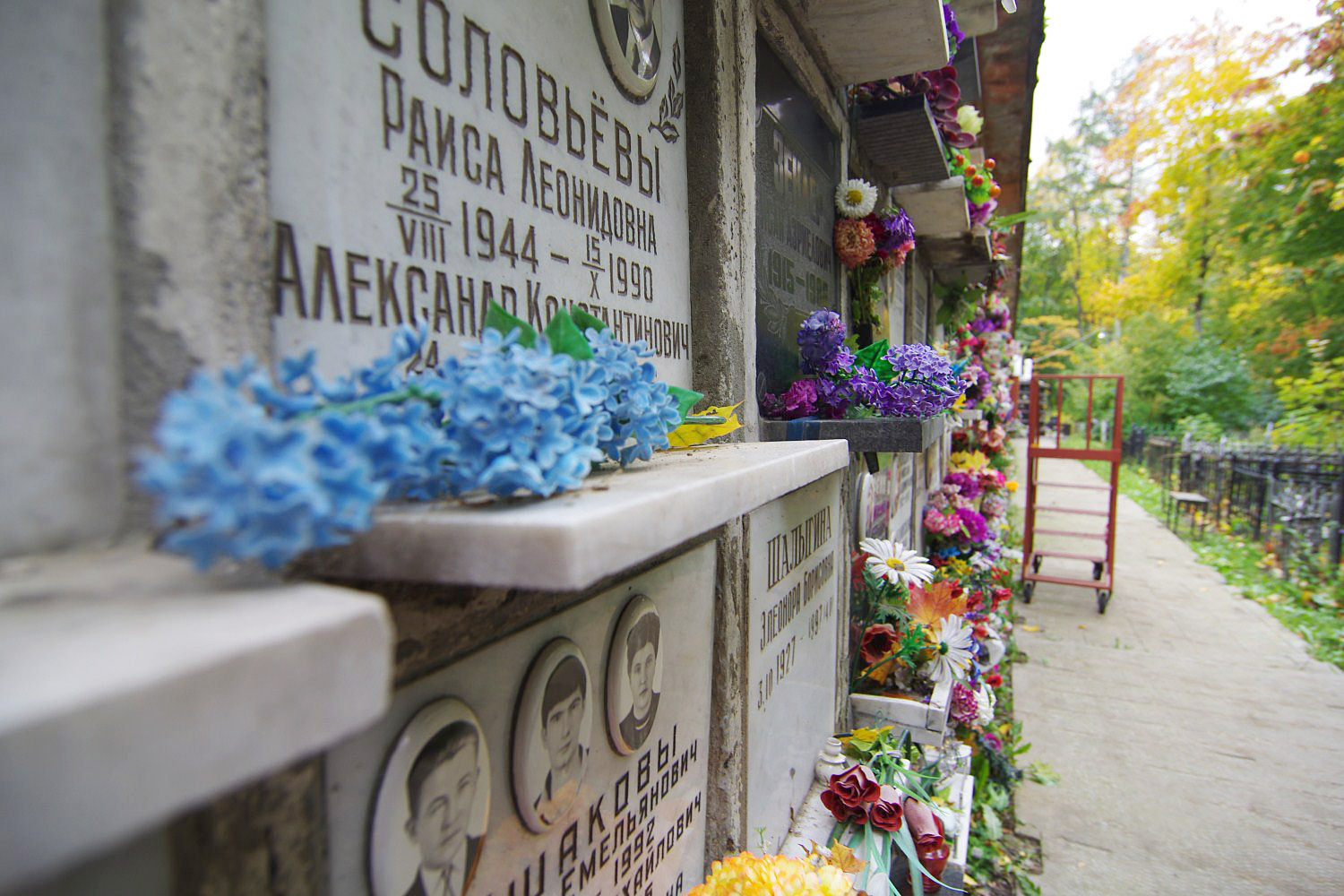 Законопроект о создании в России частных кладбищ внесен в правительство