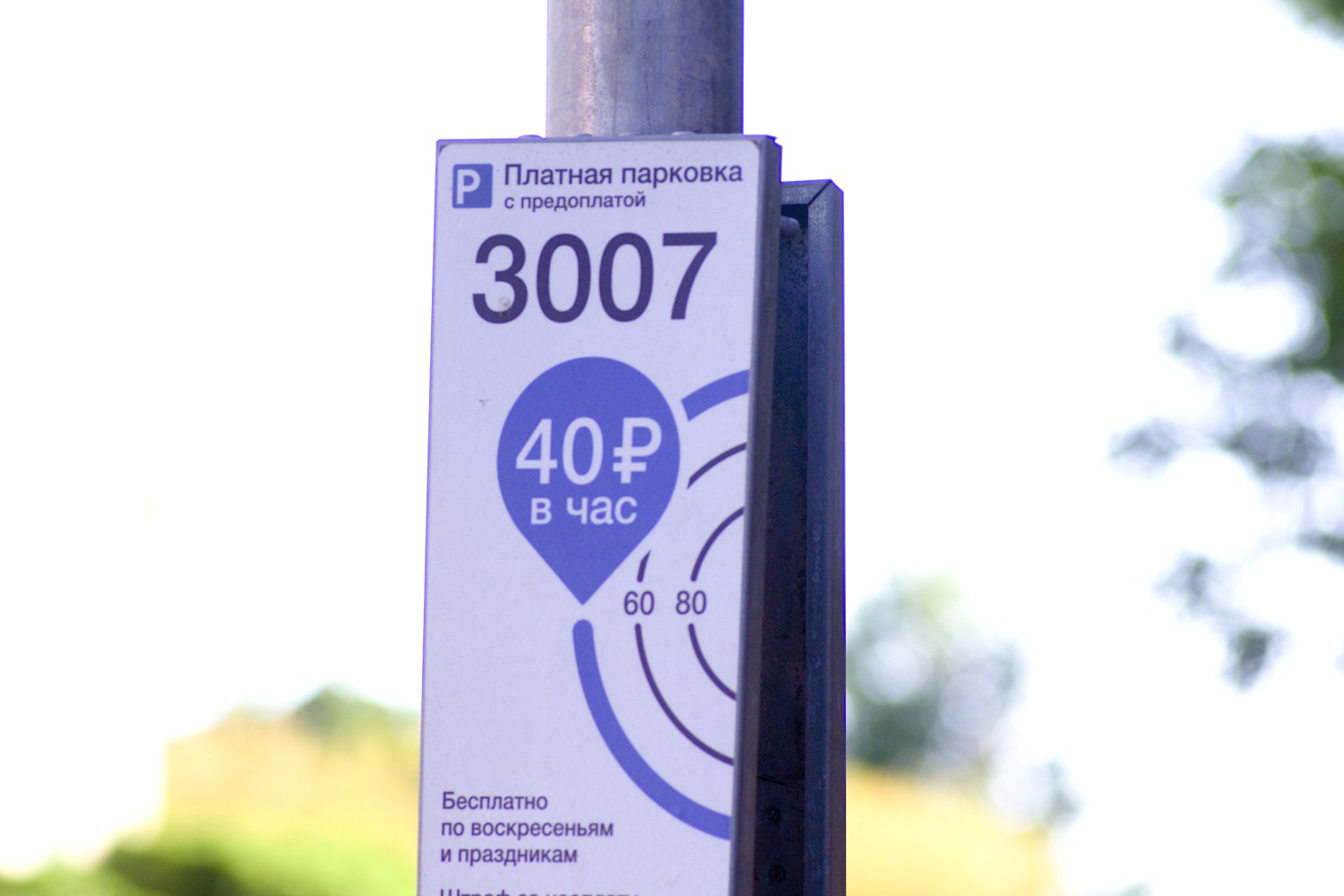 Оператор платных парковок Москвы поддержал рост тарифов на загруженных улицах